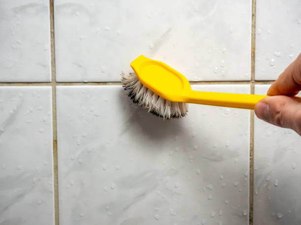 Best Mold Testing and Removal  in Druid Hills, GA