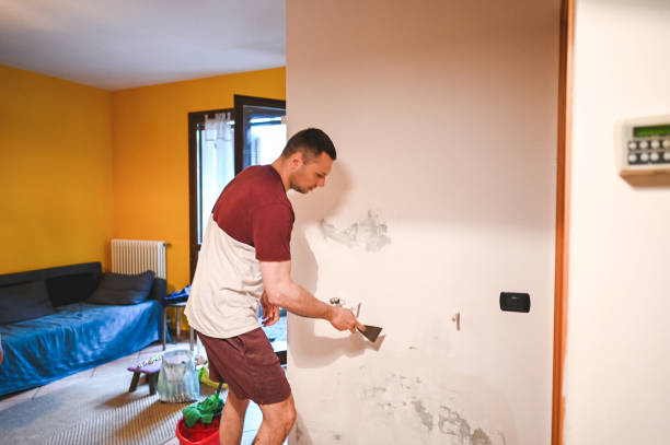 Best Certified Mold Removal  in Druid Hills, GA